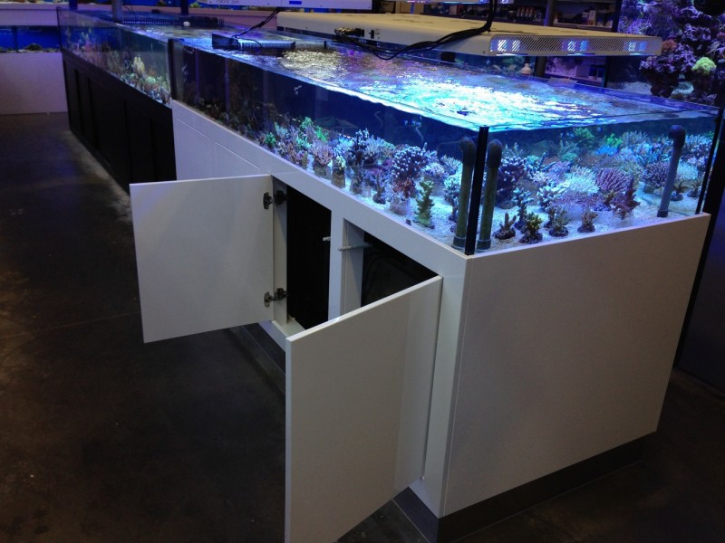 ombouw aquariumzaak 4.jpg