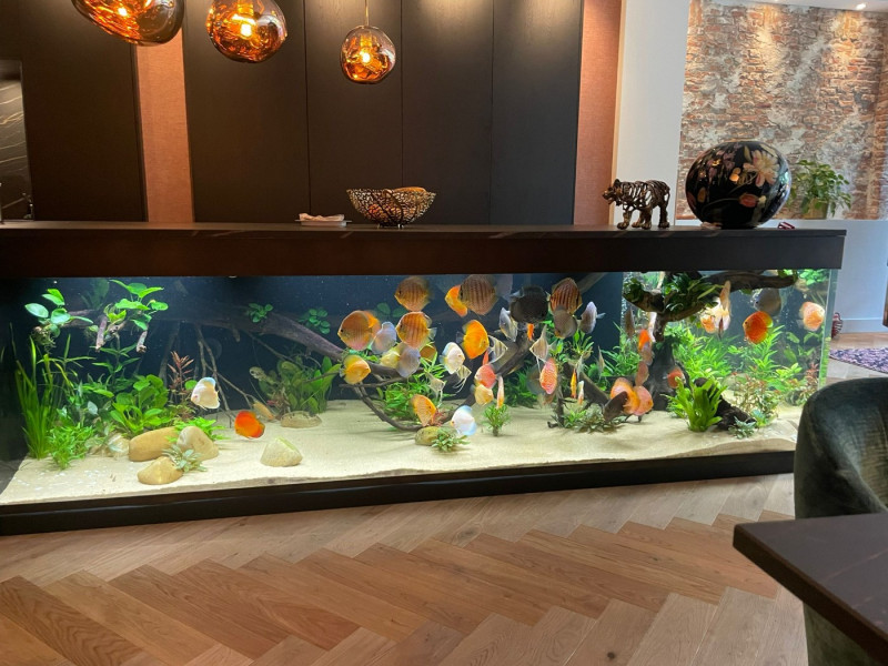 8e3cf0a6 5c56 4556 9c43 e9a63d9d0102.jpg