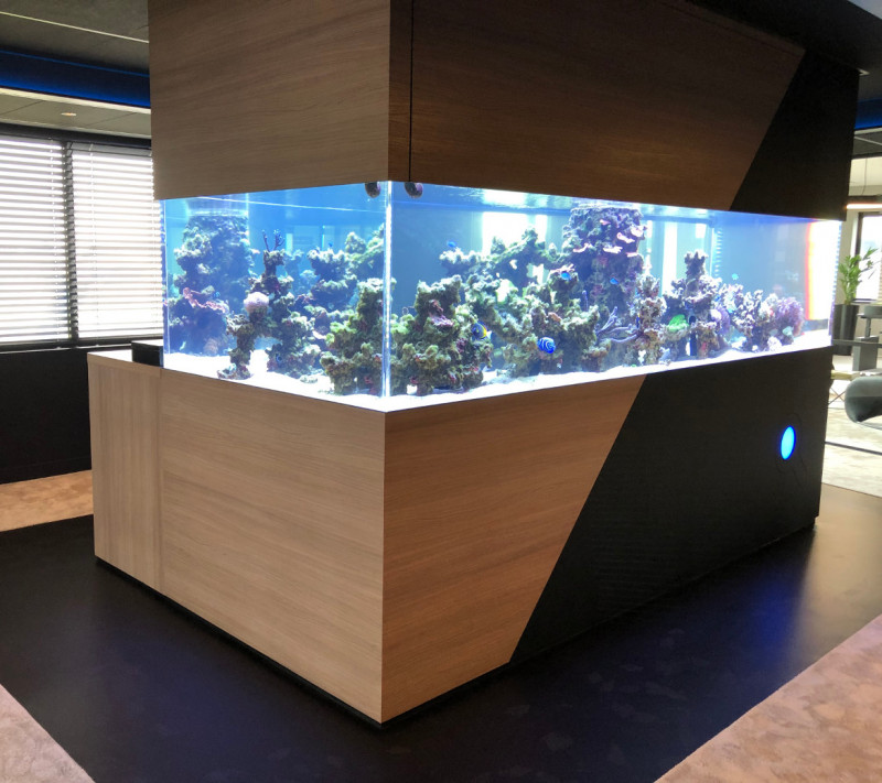 aquarium op kantoor.jpg