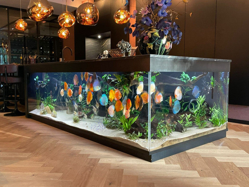 bbe9428c 009e 438a 9ad6 b78a44825bf.jpg