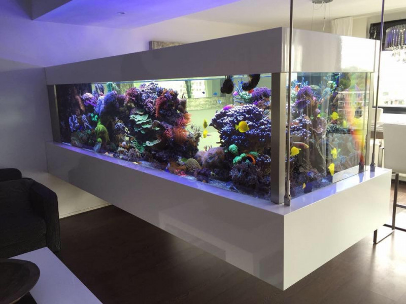 hangend aquarium 11.jpg