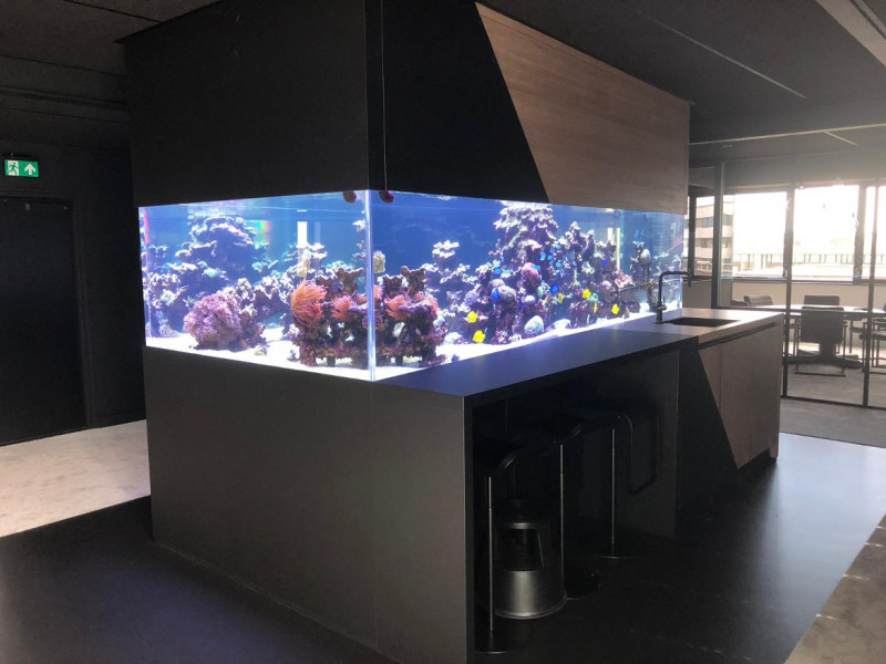 zeewater aquarium kantoor bar plexiglas.jpg