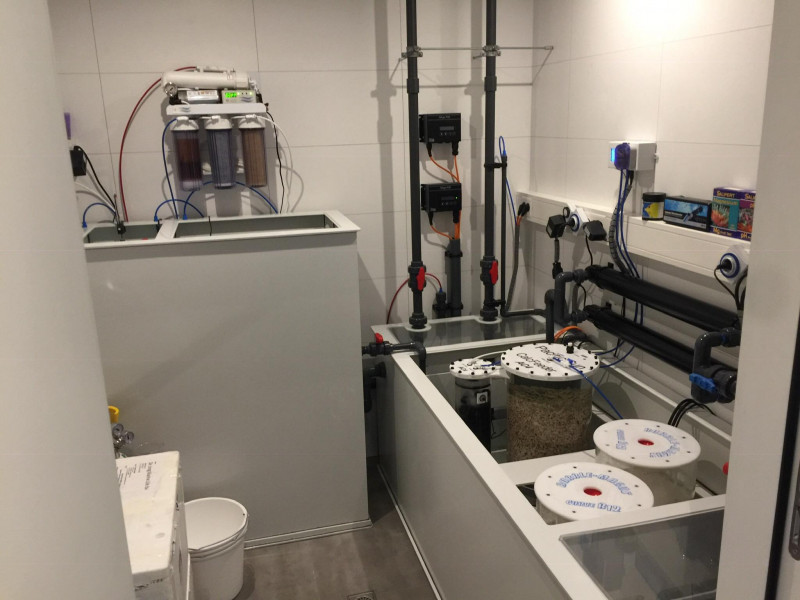 aquarium kantoor lelystad 2.jpg