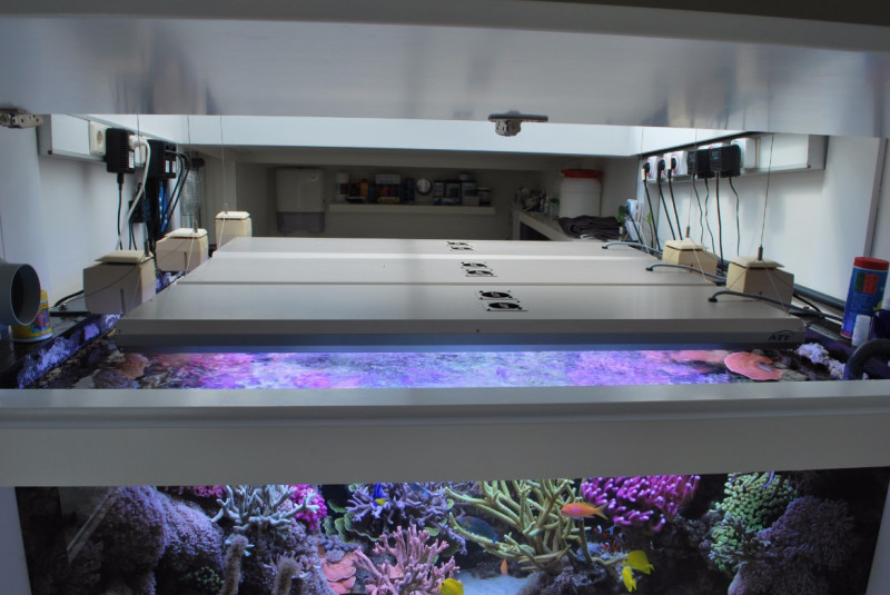 zeewater aquarium verlichting techniek.jpg